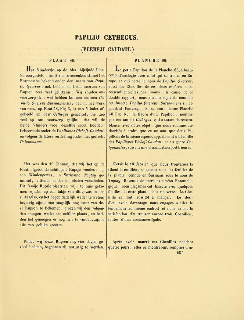 Sepp-Surinaamsche vlinders - pl 086 text1 descr. as Papilio cethegus