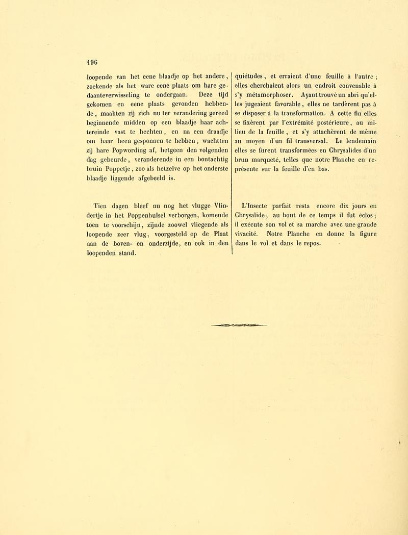 Sepp-Surinaamsche vlinders - pl 086 text2 descr. as Papilio cethegus