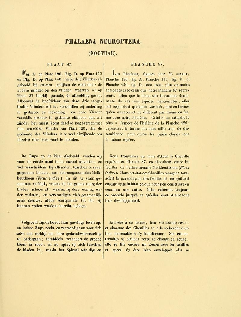 Sepp-Surinaamsche vlinders - pl 087 text1 descr. as Phalaena neuroptera