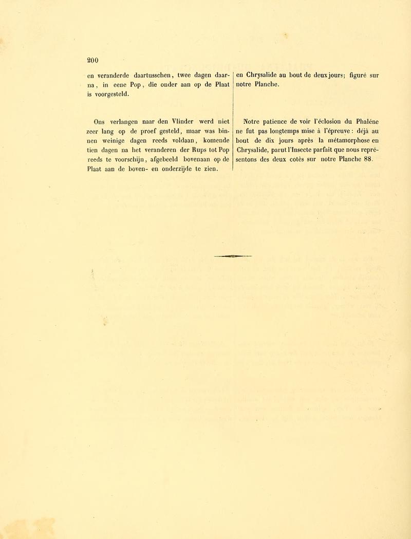 Sepp-Surinaamsche vlinders - pl 088 text2 descr as Phalaena quadripunctaria