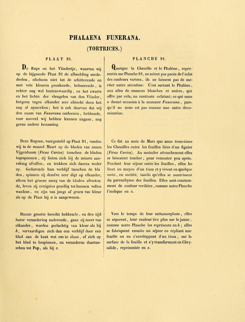 Sepp-Surinaamsche vlinders - pl 091 text1 descr. as Phalaena funerana