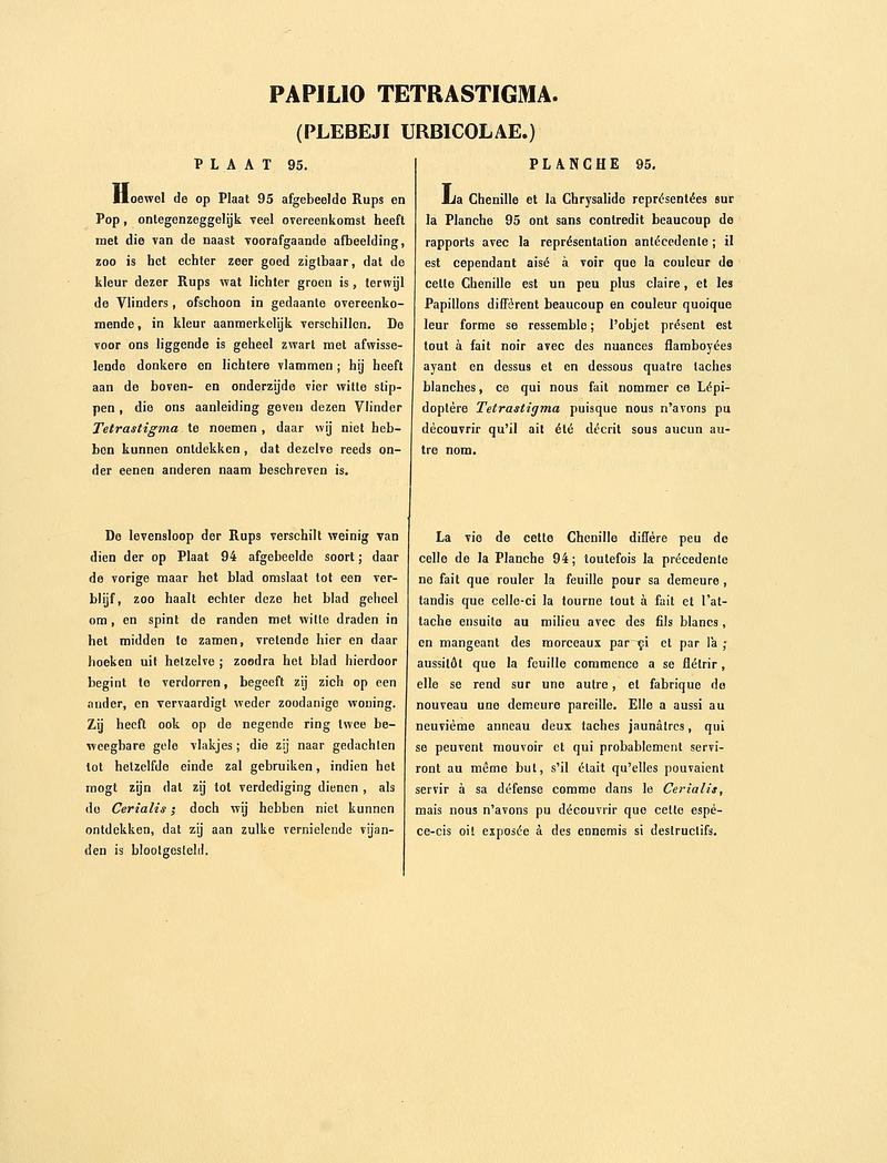 Sepp-Surinaamsche vlinders - pl 095 text1 descr as Papilio tetrastigma