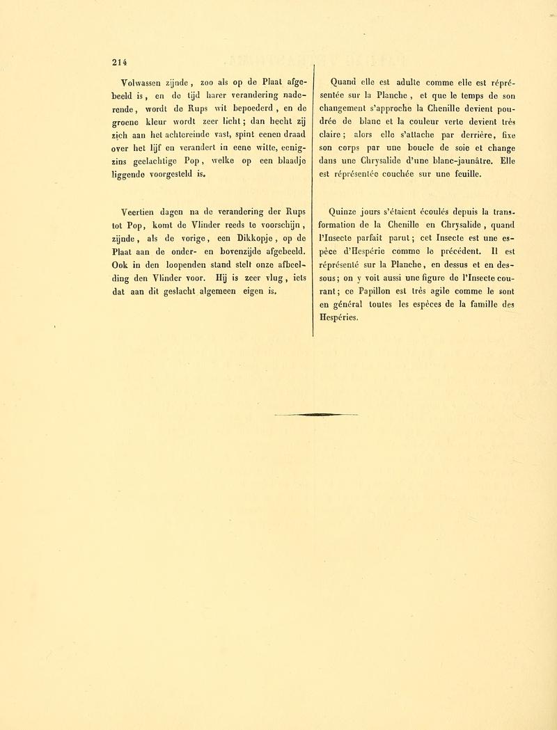 Sepp-Surinaamsche vlinders - pl 095 text2 descr as Papilio tetrastigma