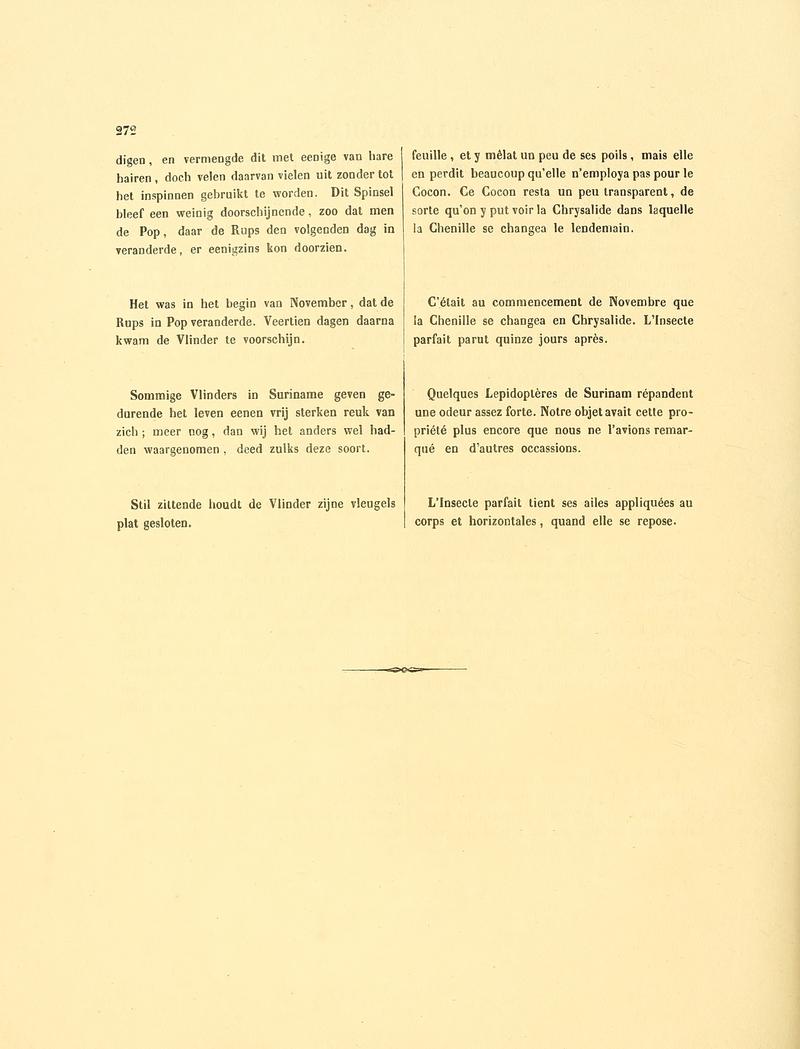 Sepp-Surinaamsche vlinders - pl 124 text2 descr. as Bombyx Archias (Sphinx adscita)