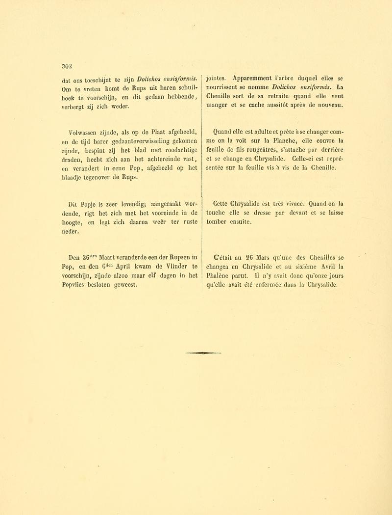 Sepp-Surinaamsche vlinders - pl 139 text2 descr. as Phalaena renselariana