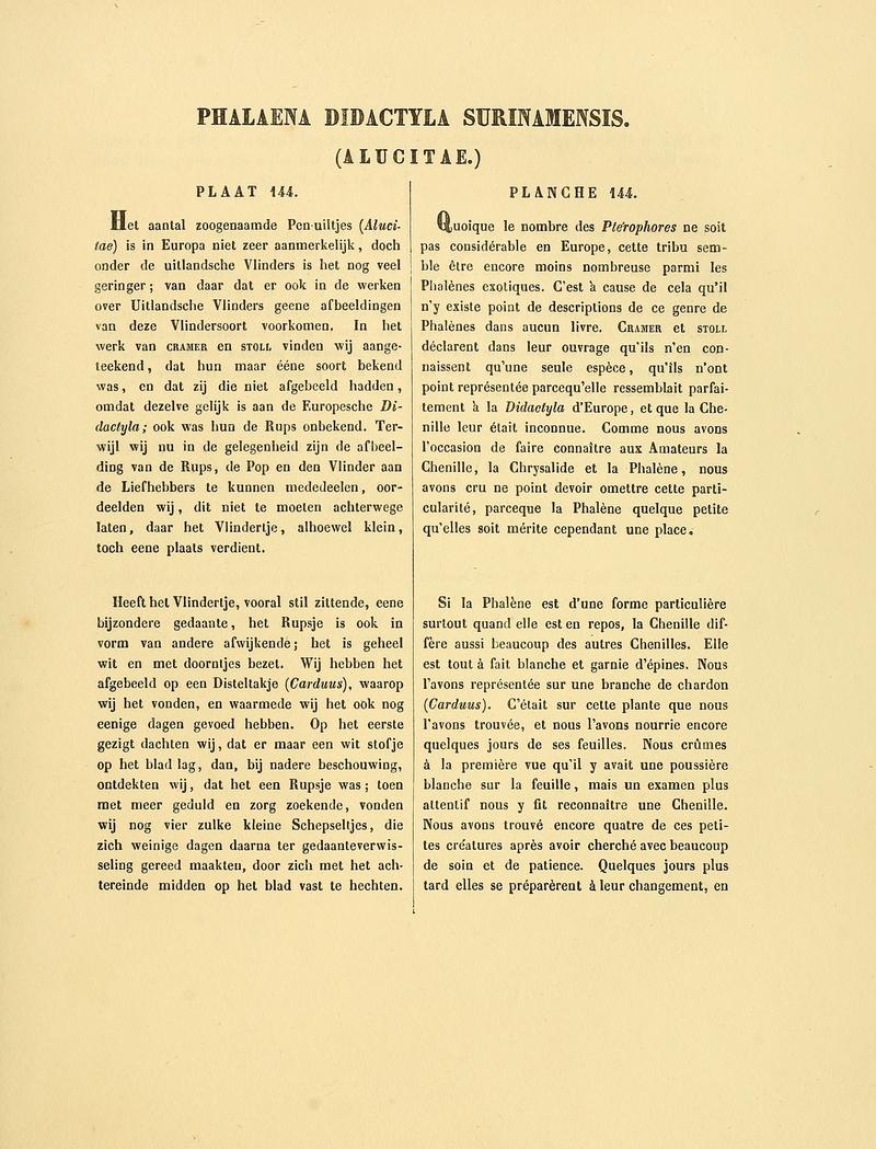 Sepp-Surinaamsche vlinders - pl 144 text1 Oidaematophorus surinamensis