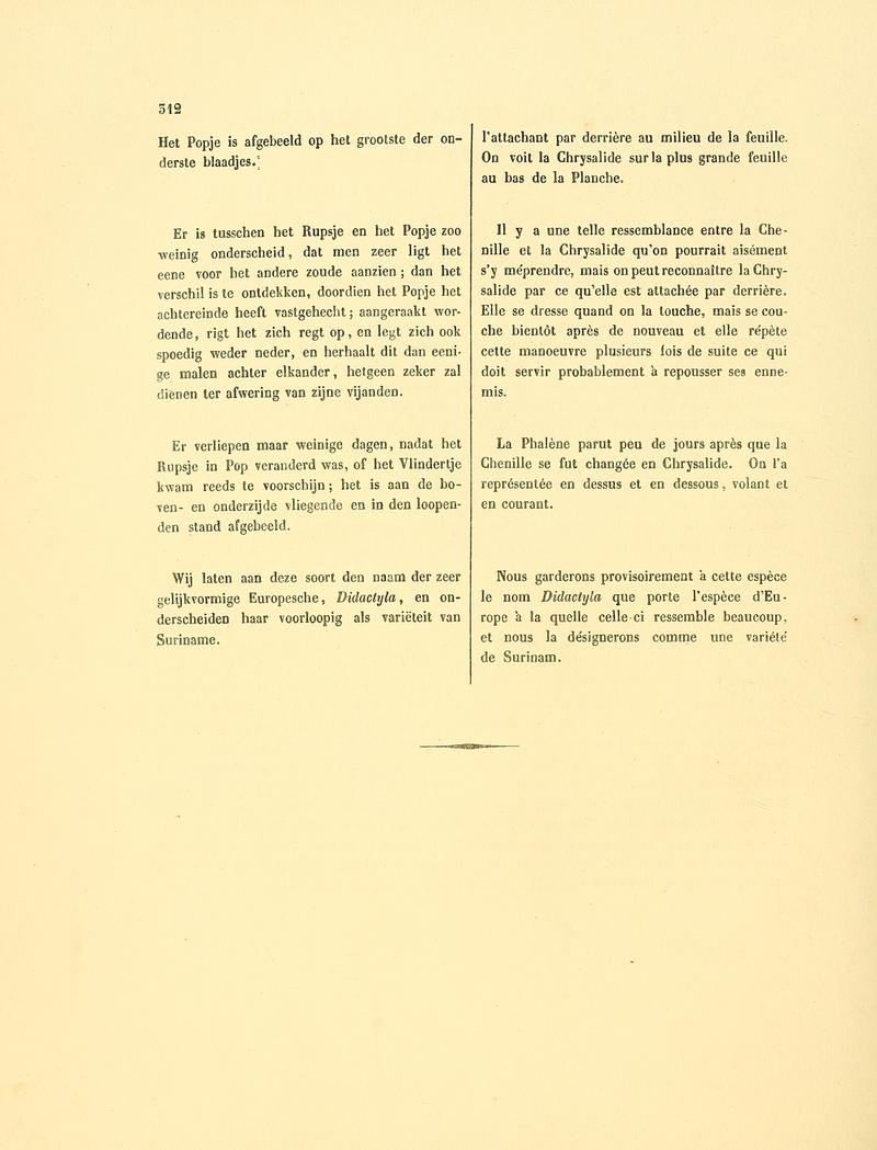Sepp-Surinaamsche vlinders - pl 144 text2 Oidaematophorus surinamensis