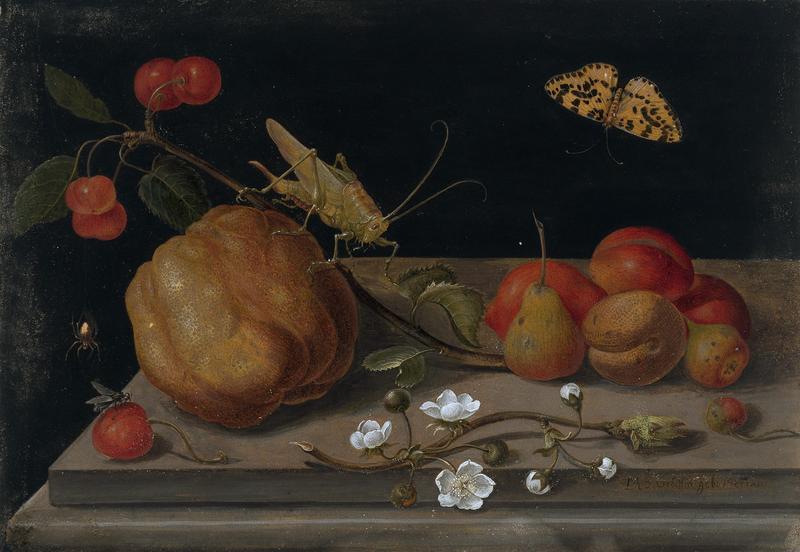 Still life with fruit, a grasshopper and a butterfly, by Maria Sibylla Merian