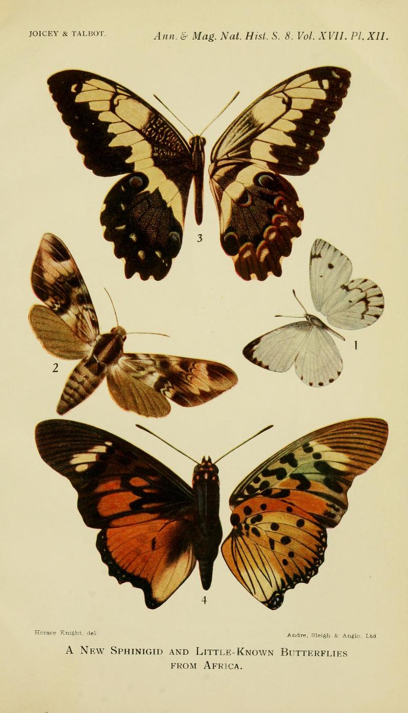 The Annals and magazine of natural history; zoology, botany, and geology (1916) (14579887017)