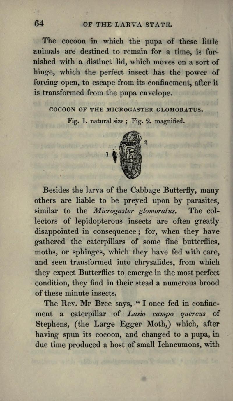 The book of butterflies, sphinxes and moths (Page 64, Figs. 1-2) BHL21521035