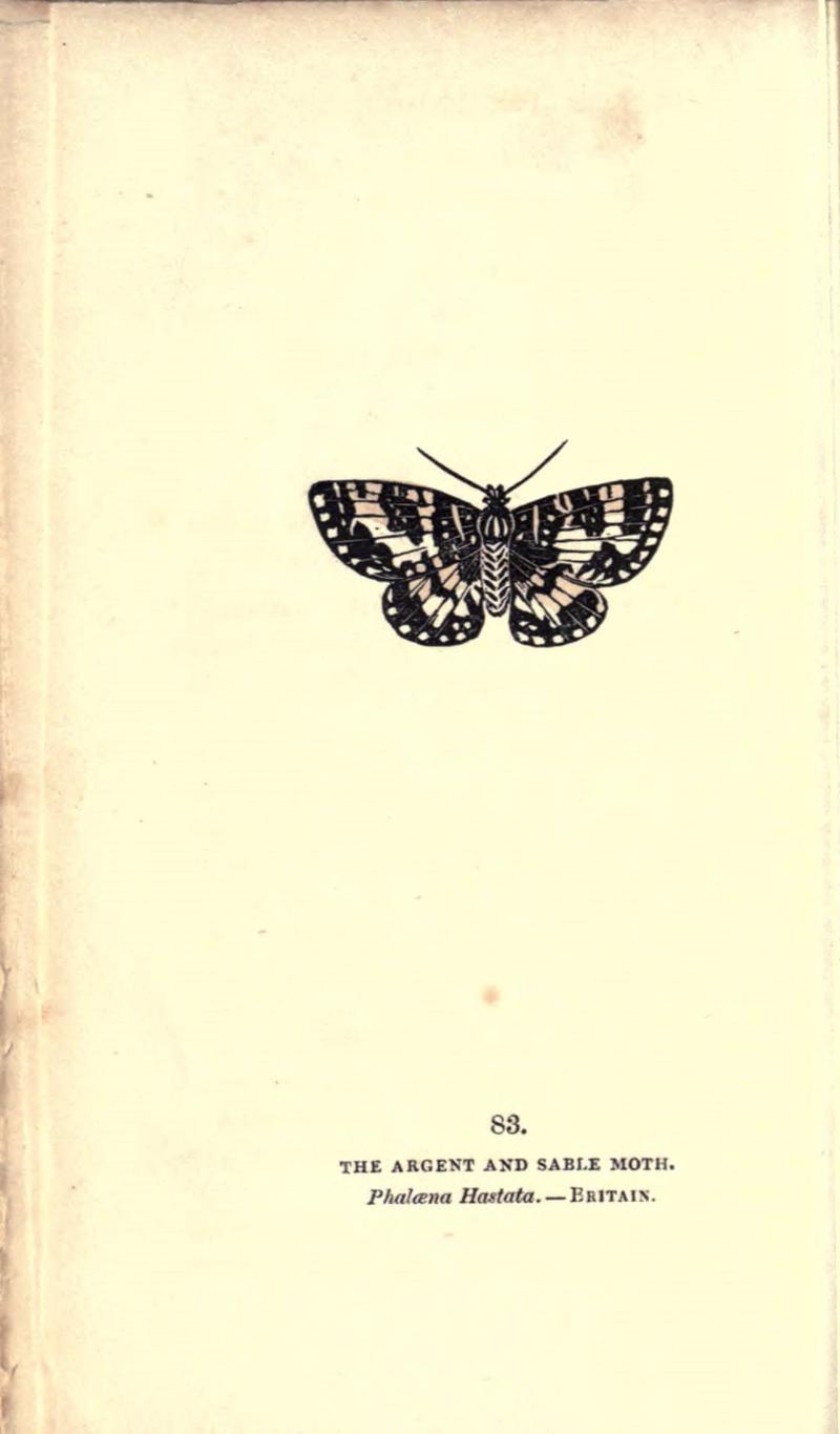 The book of butterflies, sphinxes and moths (Pl. 83) (8716630943)