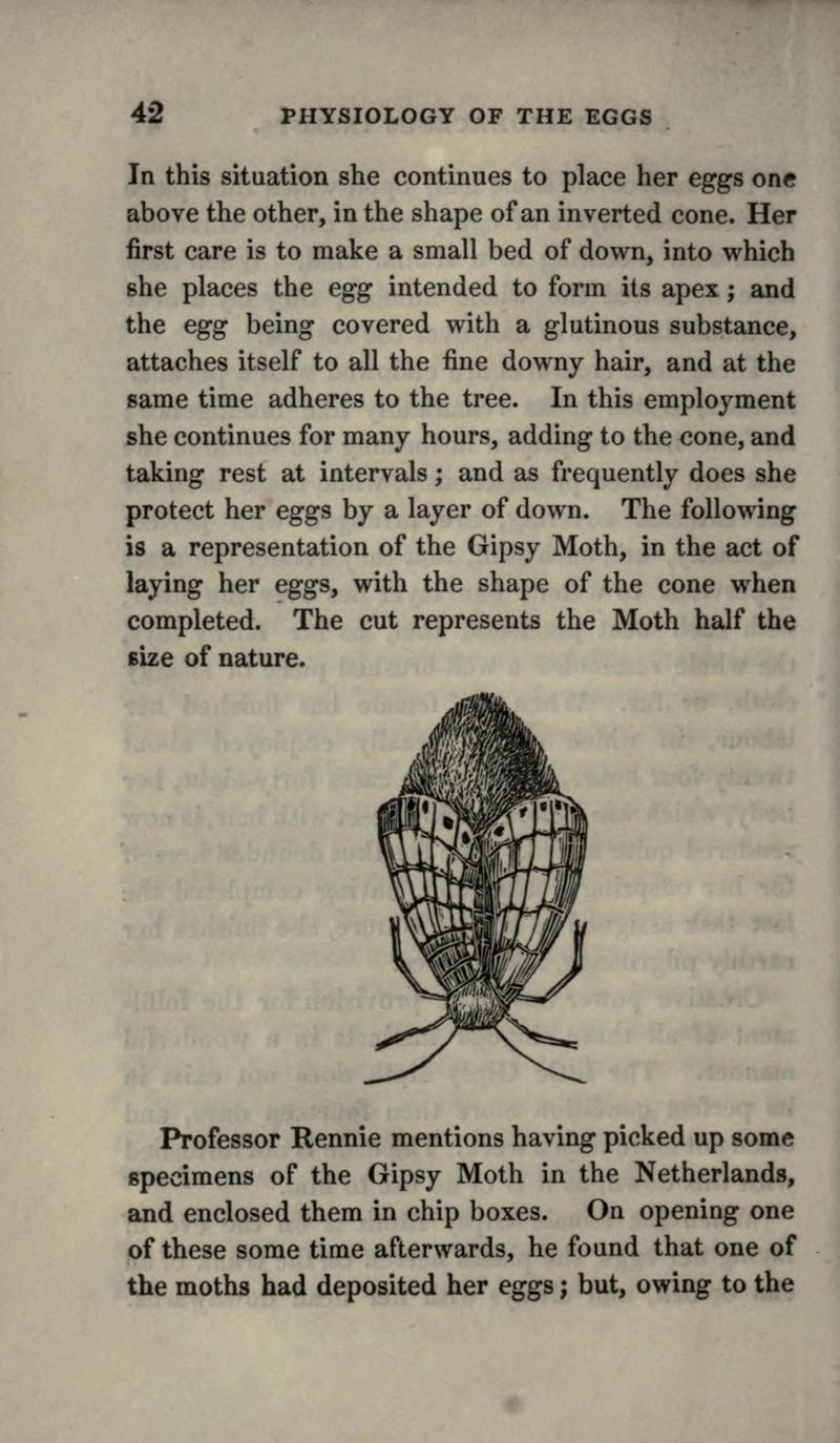 The book of butterflies, sphinxes and moths BHL21521013