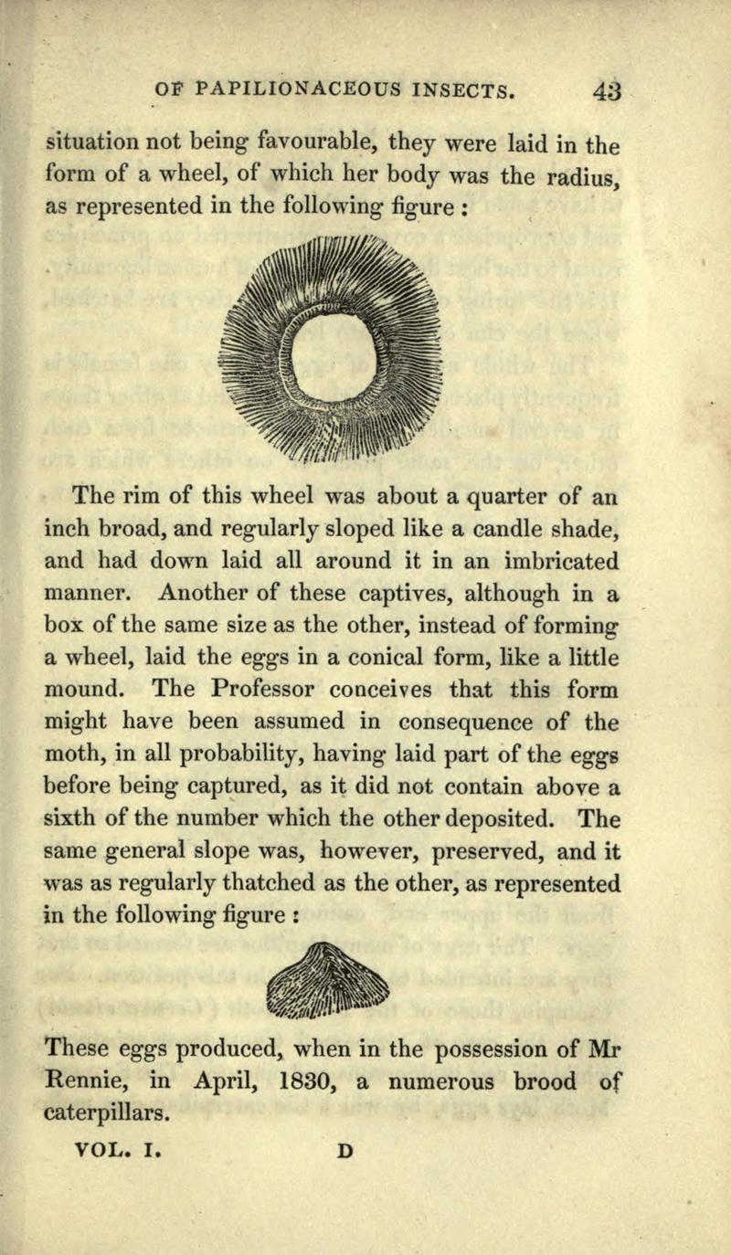 The book of butterflies, sphinxes and moths BHL21521014