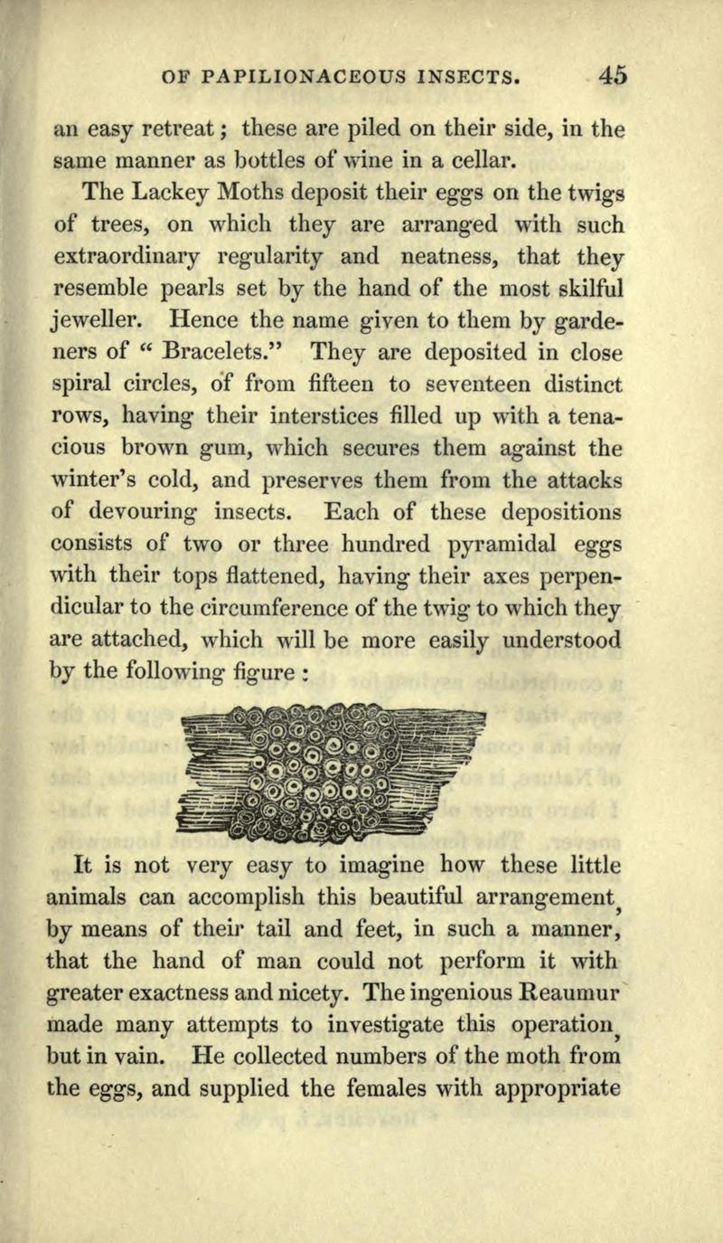 The book of butterflies, sphinxes and moths BHL21521016