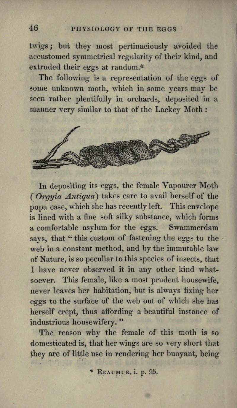 The book of butterflies, sphinxes and moths BHL21521017