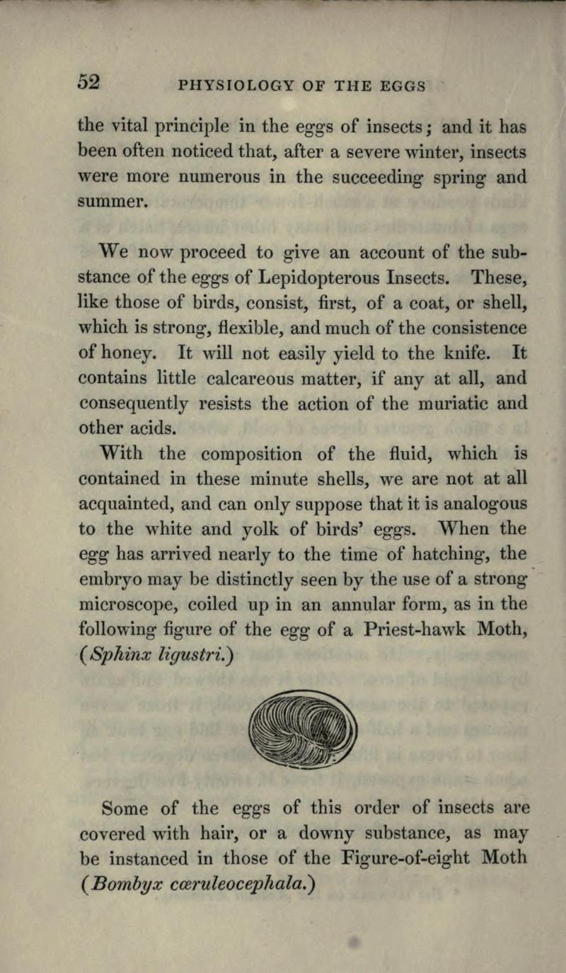 The book of butterflies, sphinxes and moths BHL21521023