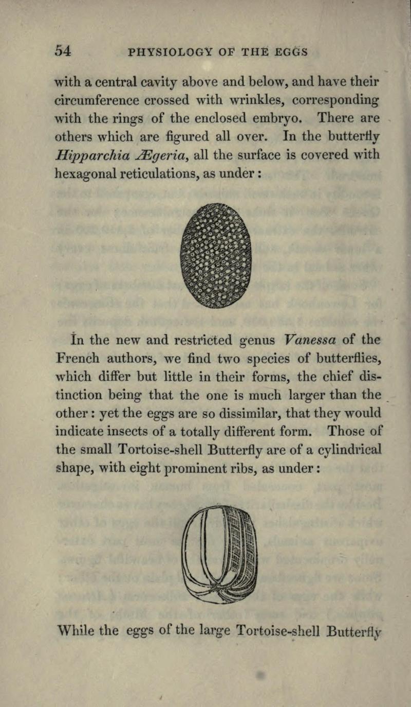 The book of butterflies, sphinxes and moths BHL21521025