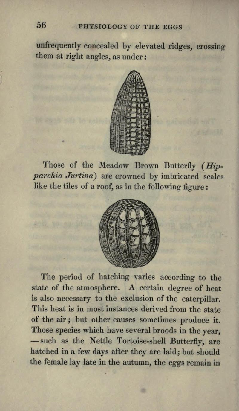 The book of butterflies, sphinxes and moths BHL21521027