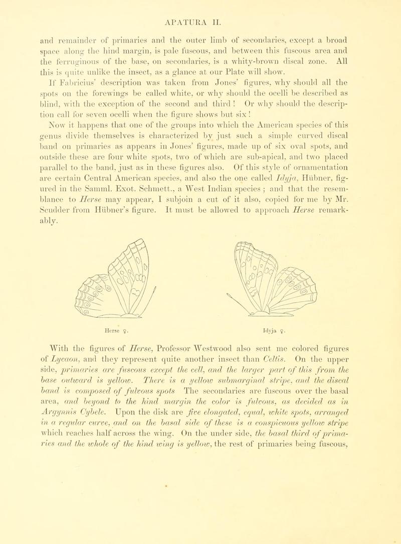 The butterflies of North America (Page 12) BHL9691159