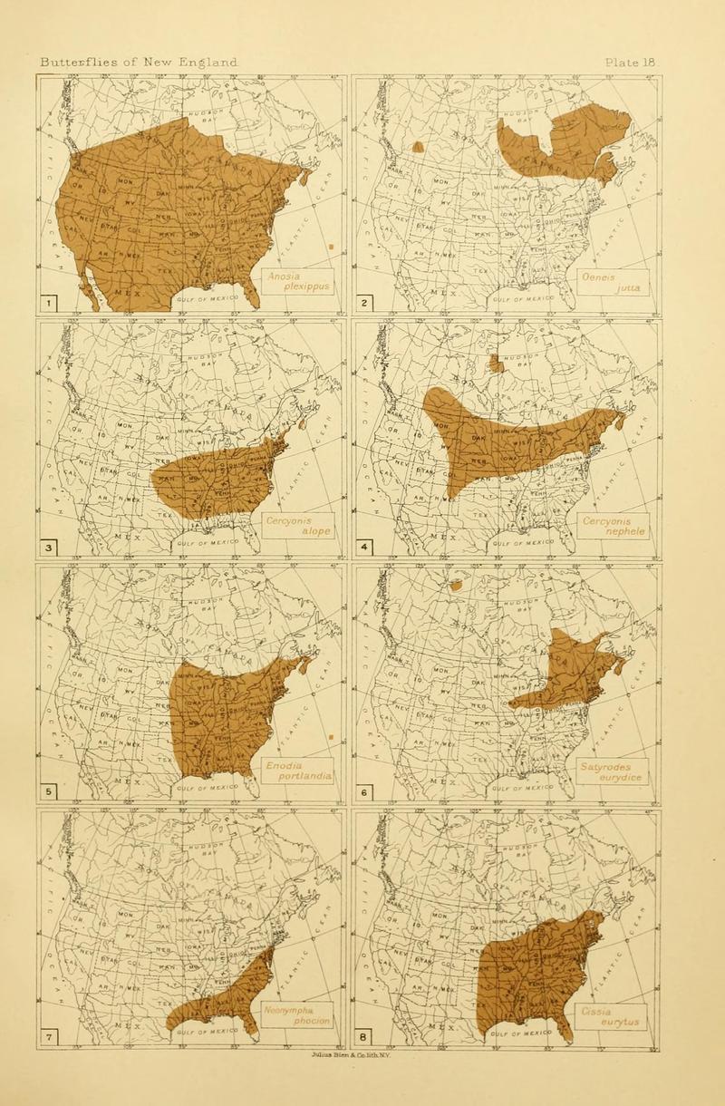 The butterflies of the eastern United States and Canada (8252293179)