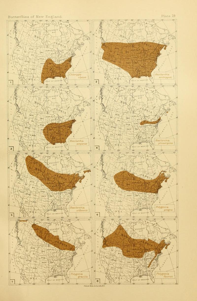 The butterflies of the eastern United States and Canada (8252293699)