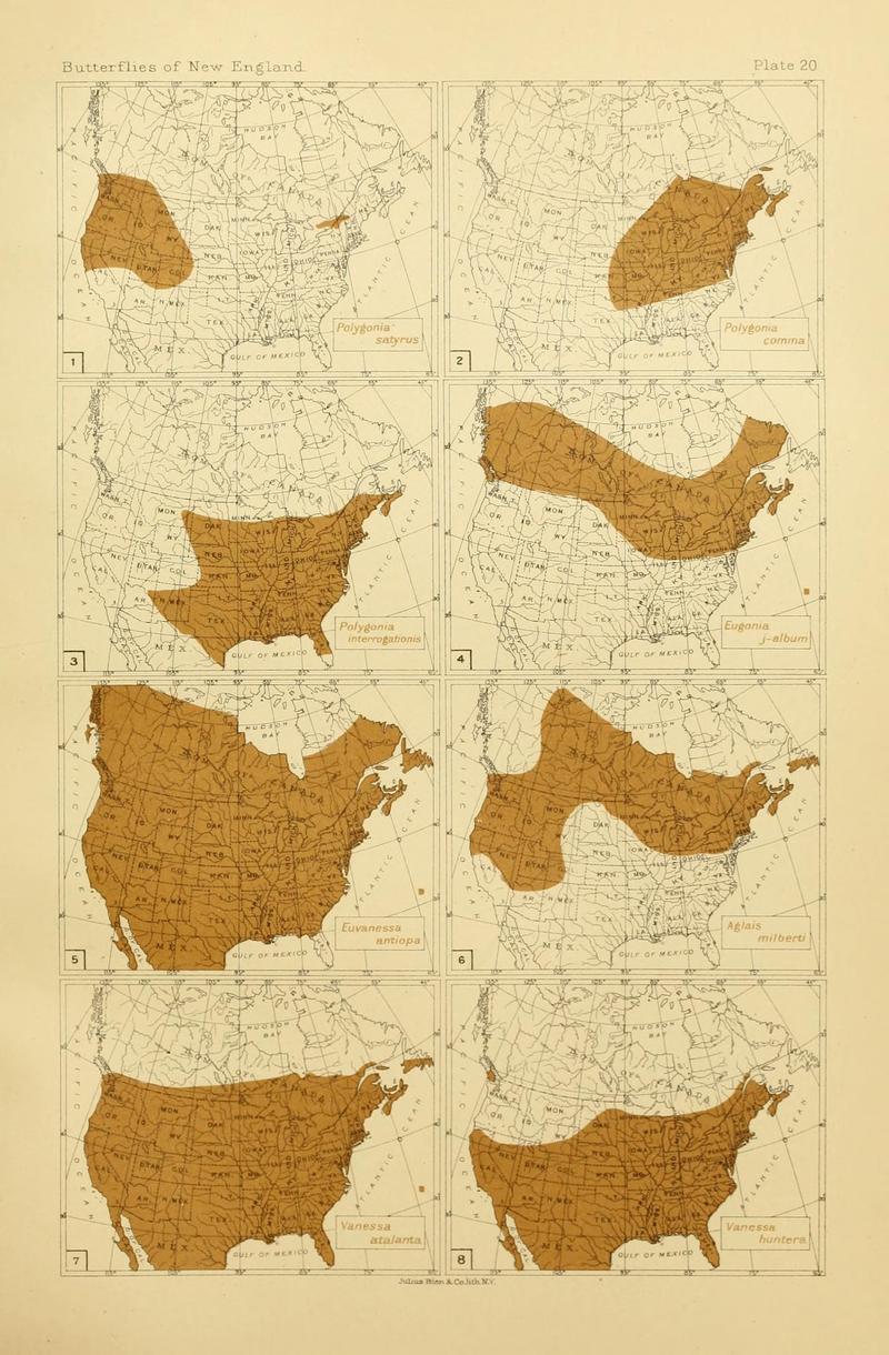 The butterflies of the eastern United States and Canada (8252294235)
