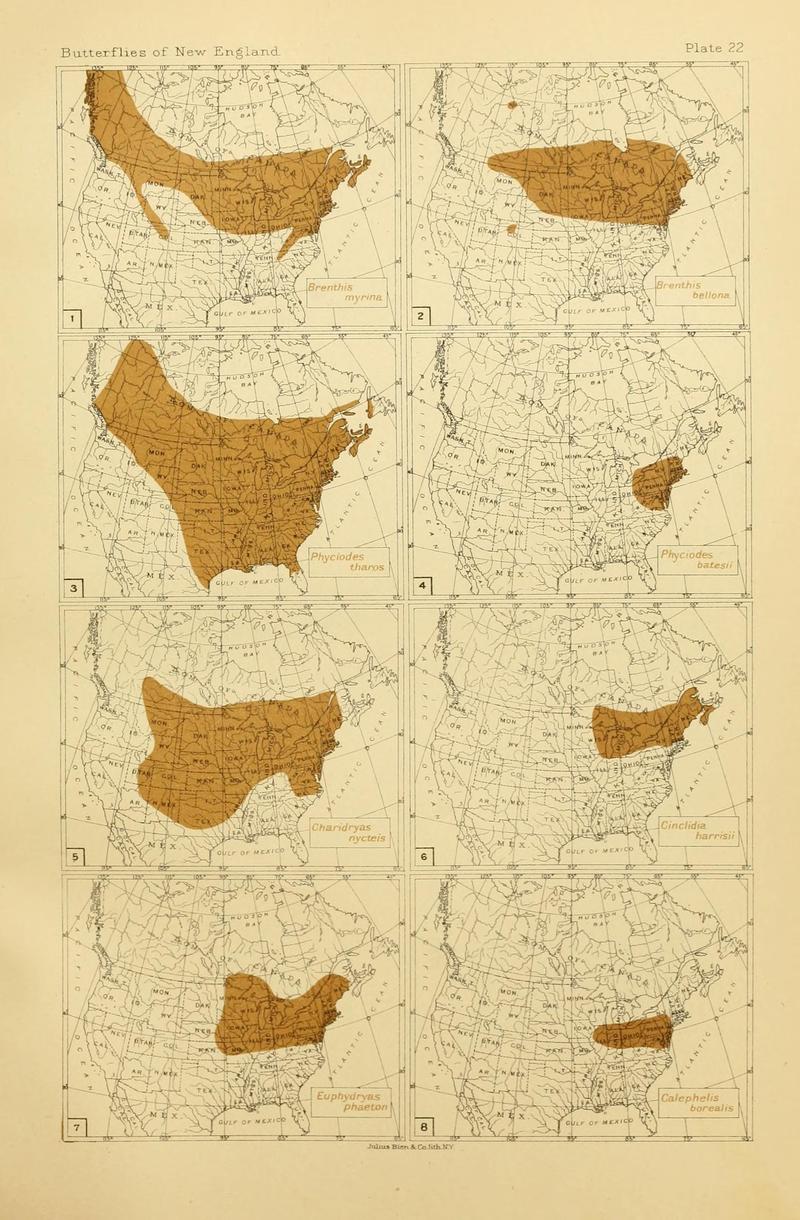 The butterflies of the eastern United States and Canada (8252295205)