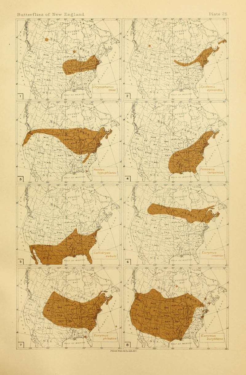 The butterflies of the eastern United States and Canada (8252296641)