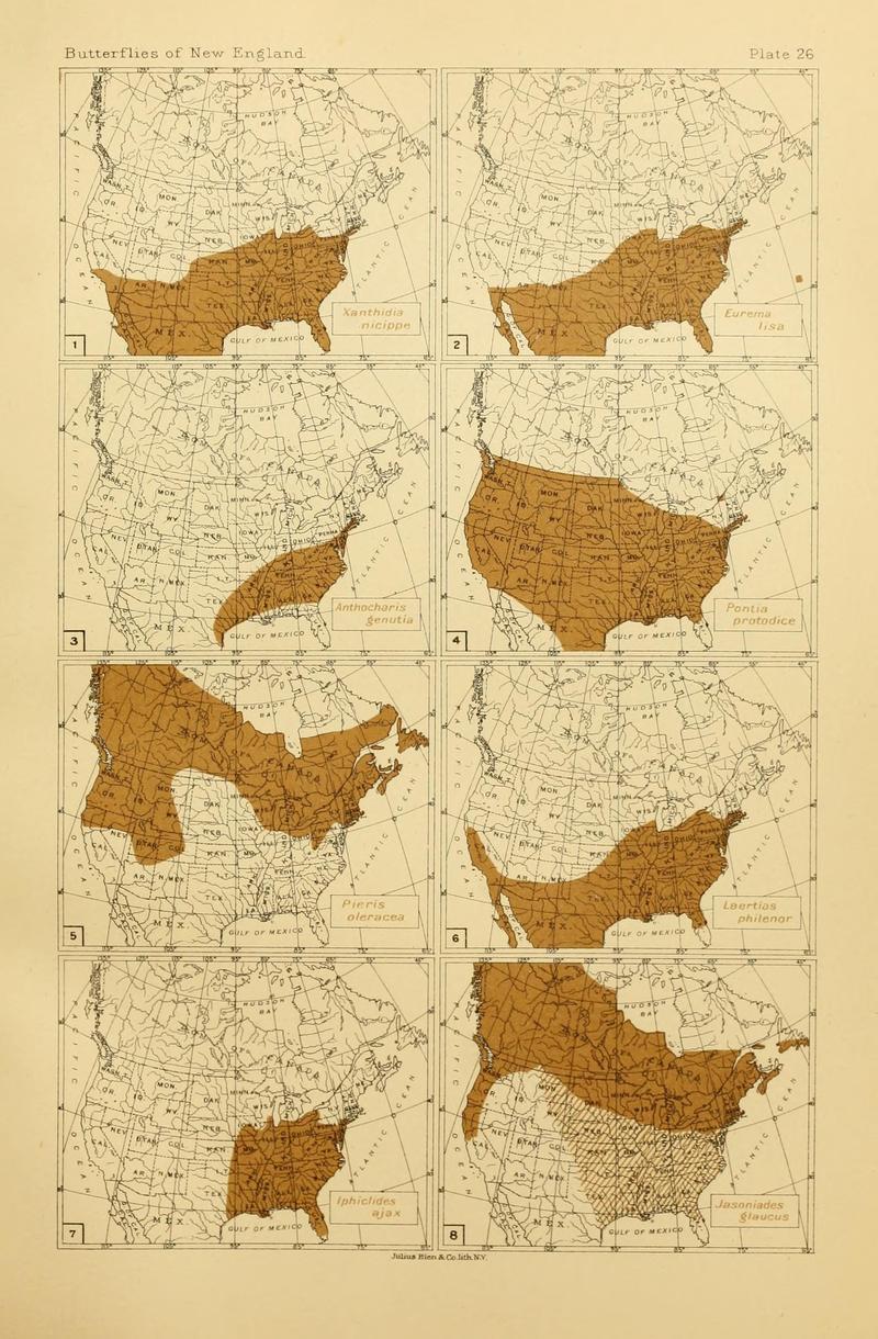 The butterflies of the eastern United States and Canada (8252297387)