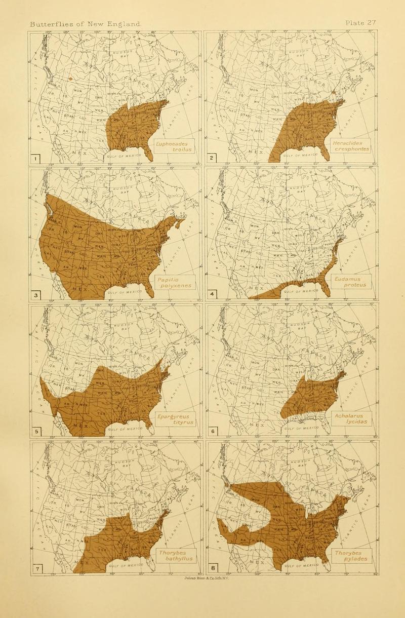 The butterflies of the eastern United States and Canada (8252297939)
