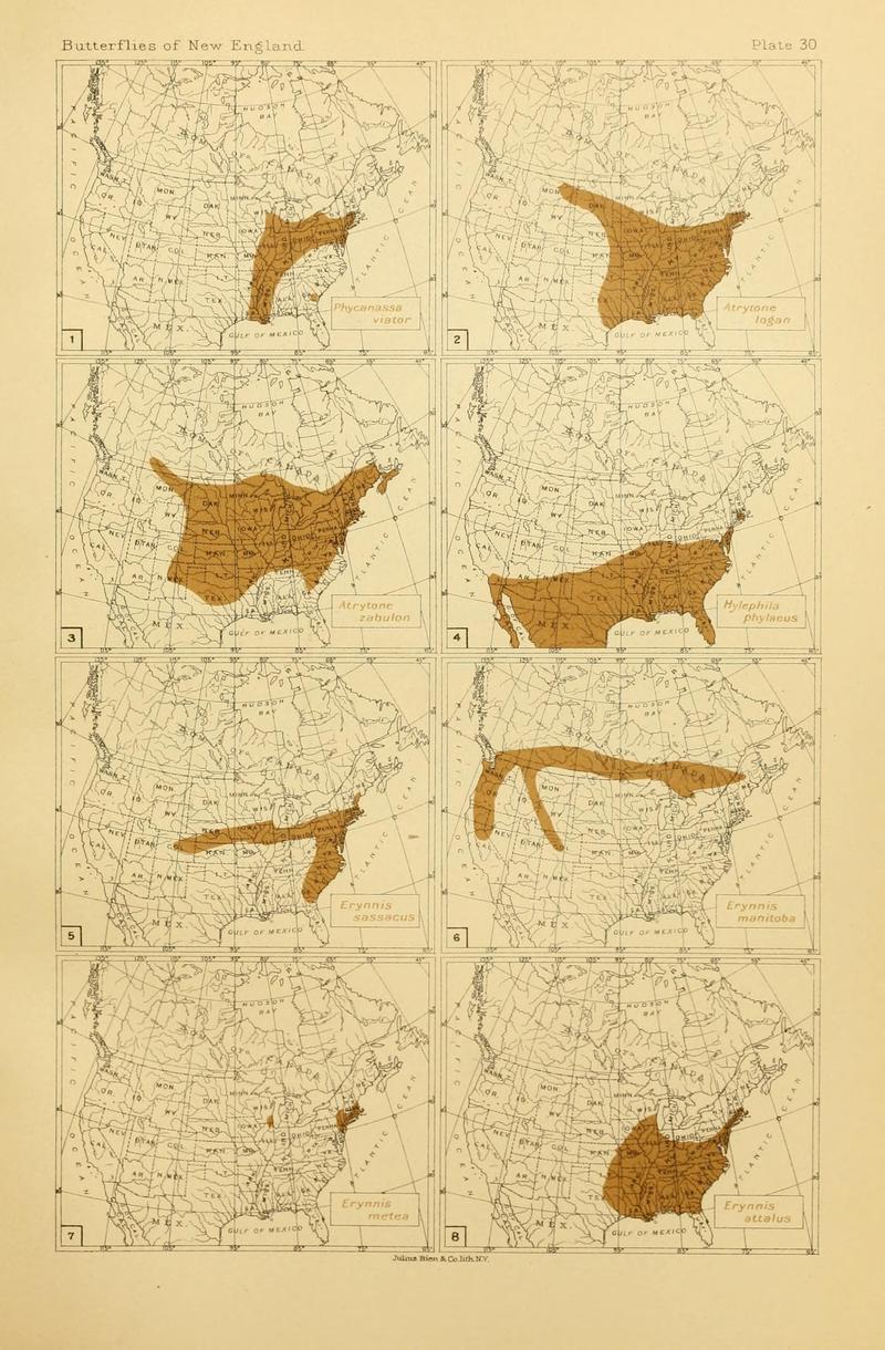 The butterflies of the eastern United States and Canada (8252299881)