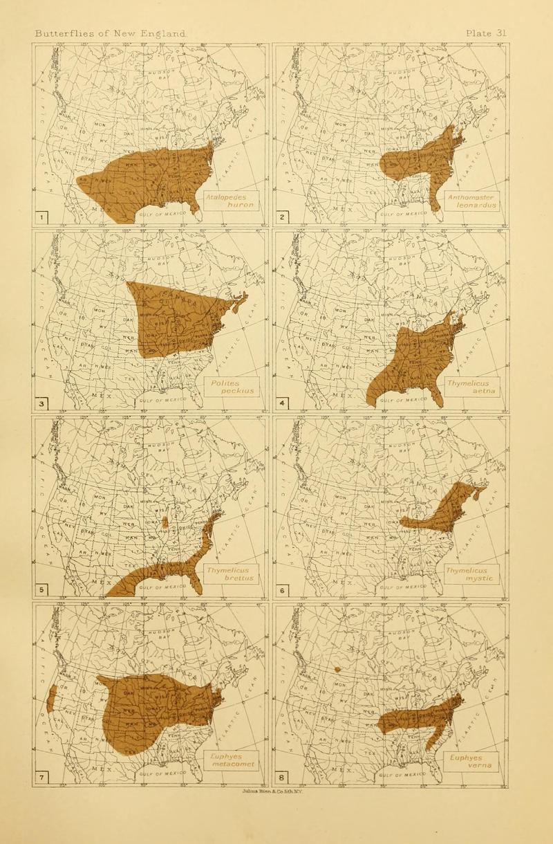 The butterflies of the eastern United States and Canada (8252300615)