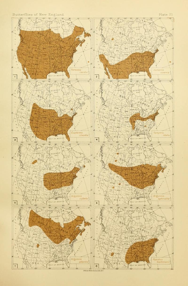 The butterflies of the eastern United States and Canada (8253365132)