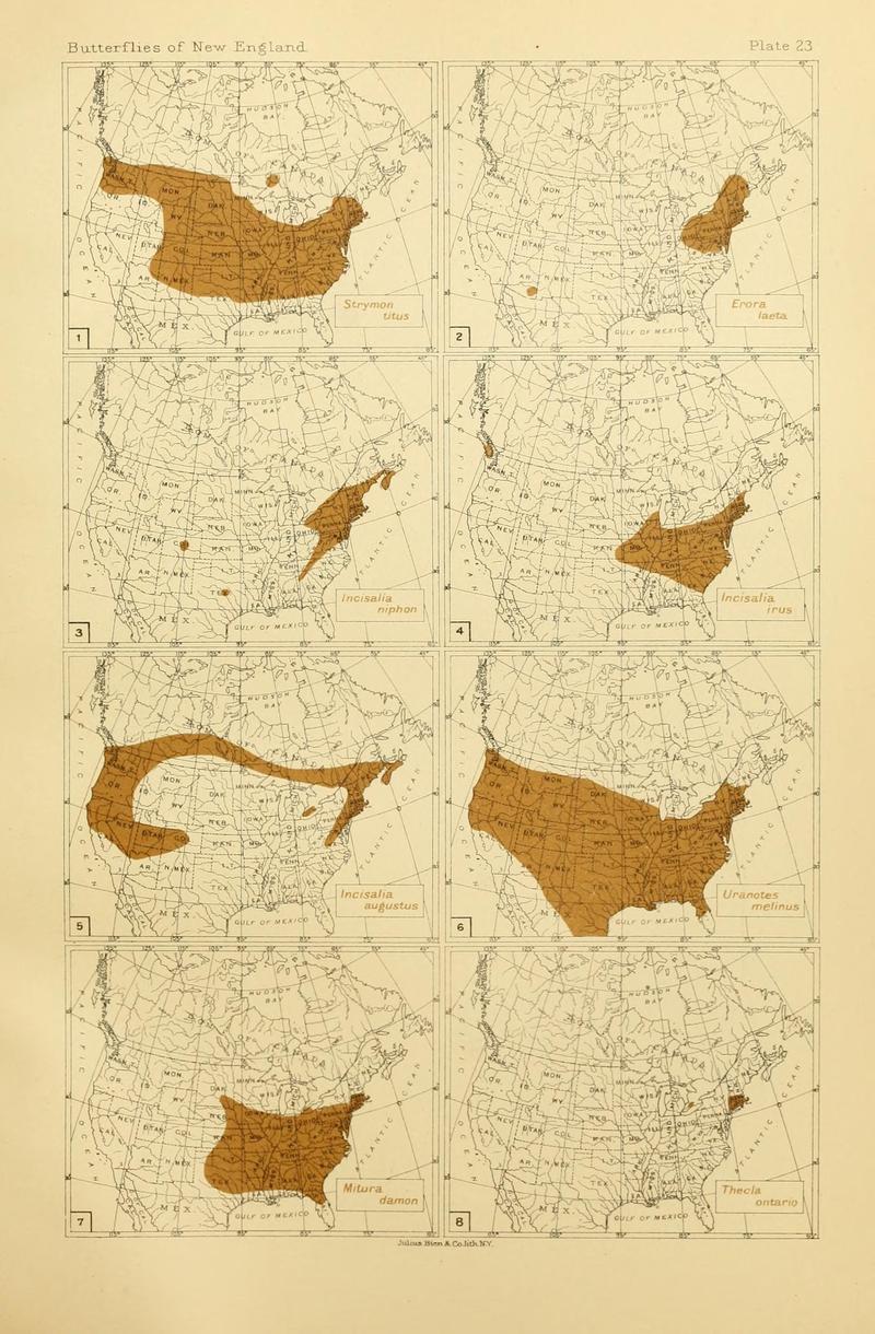 The butterflies of the eastern United States and Canada (8253366142)
