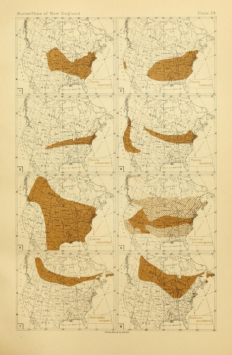 The butterflies of the eastern United States and Canada (8253366652)