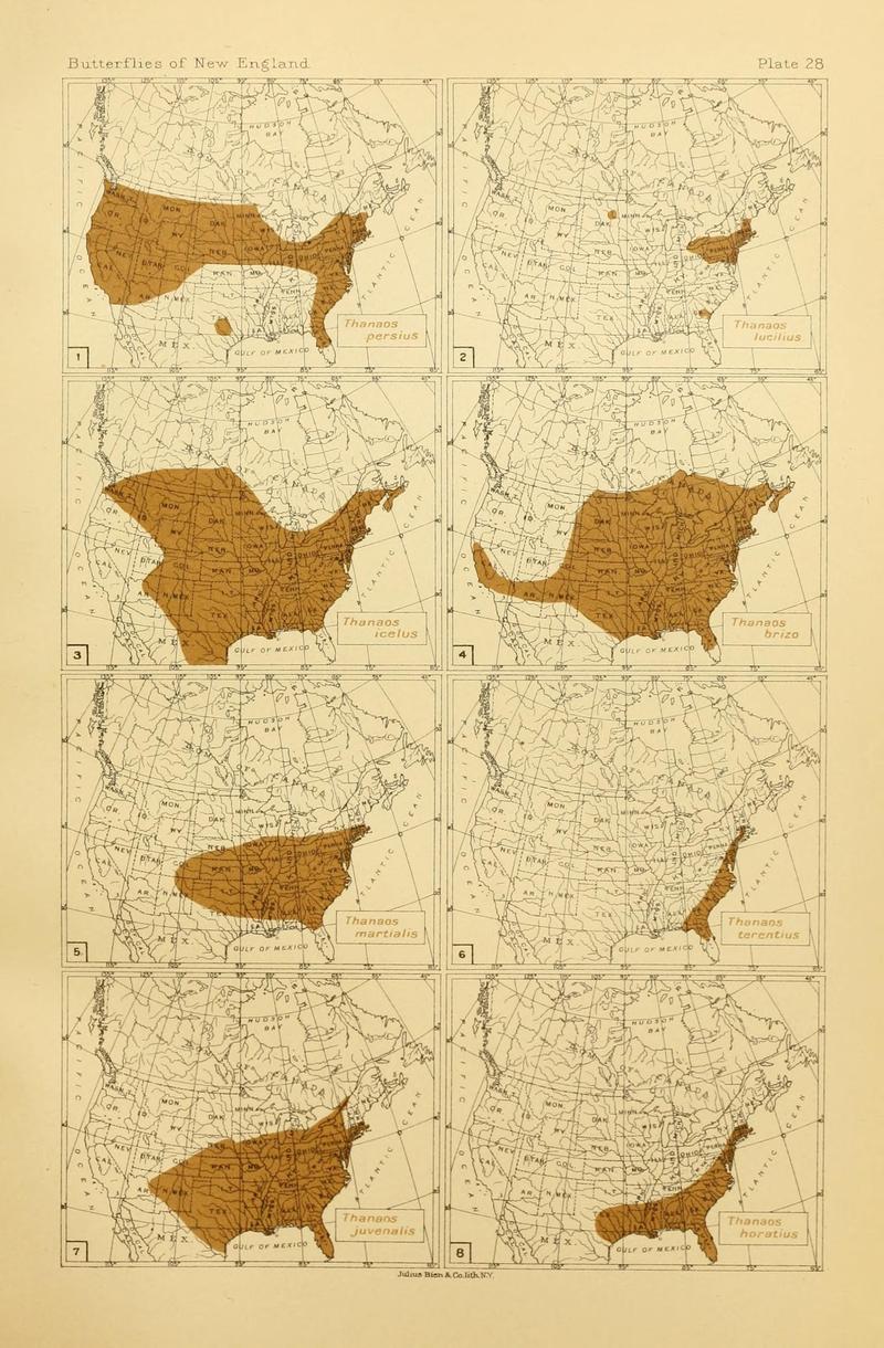 The butterflies of the eastern United States and Canada (8253369010)