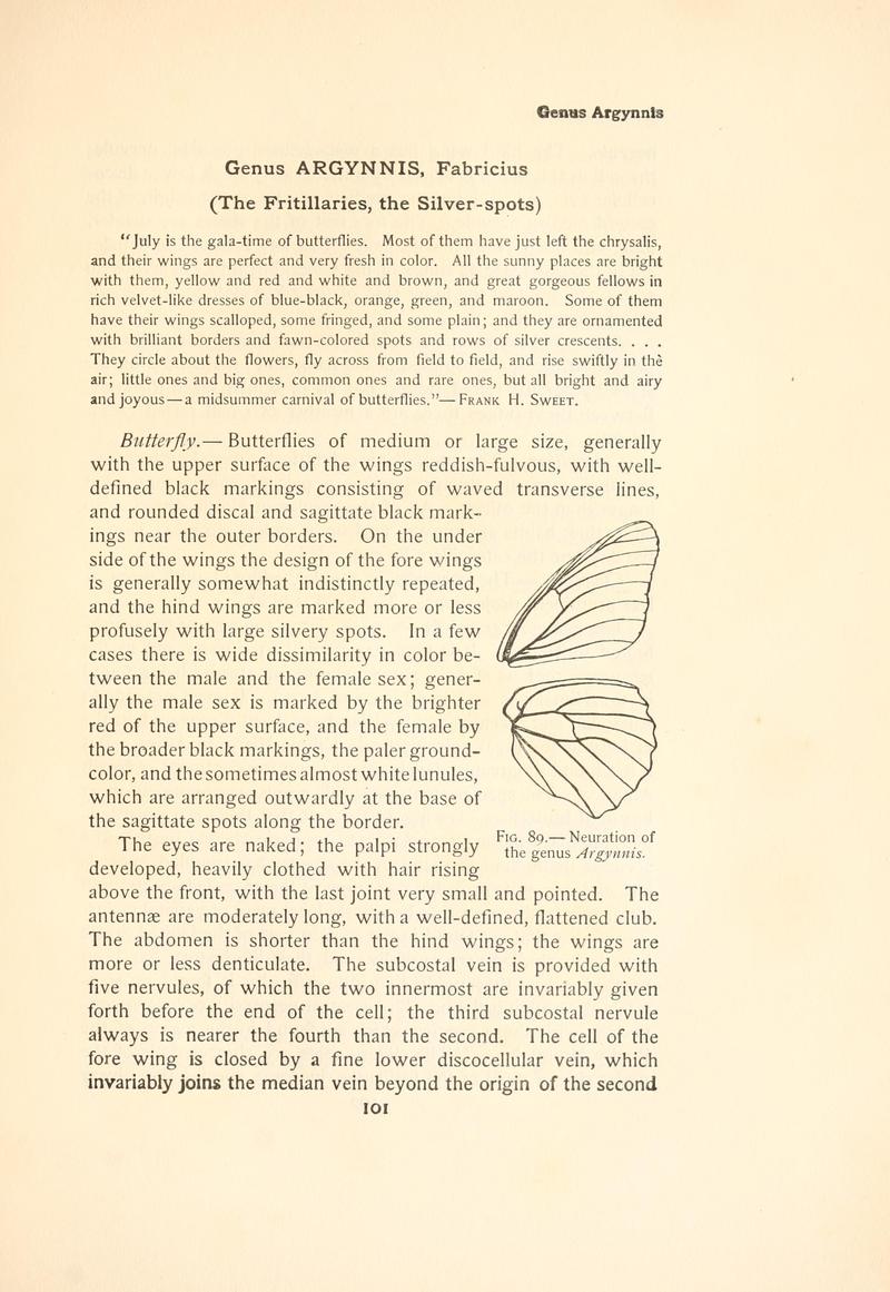 The butterfly book (Page 101, Fig. 89) BHL4428841
