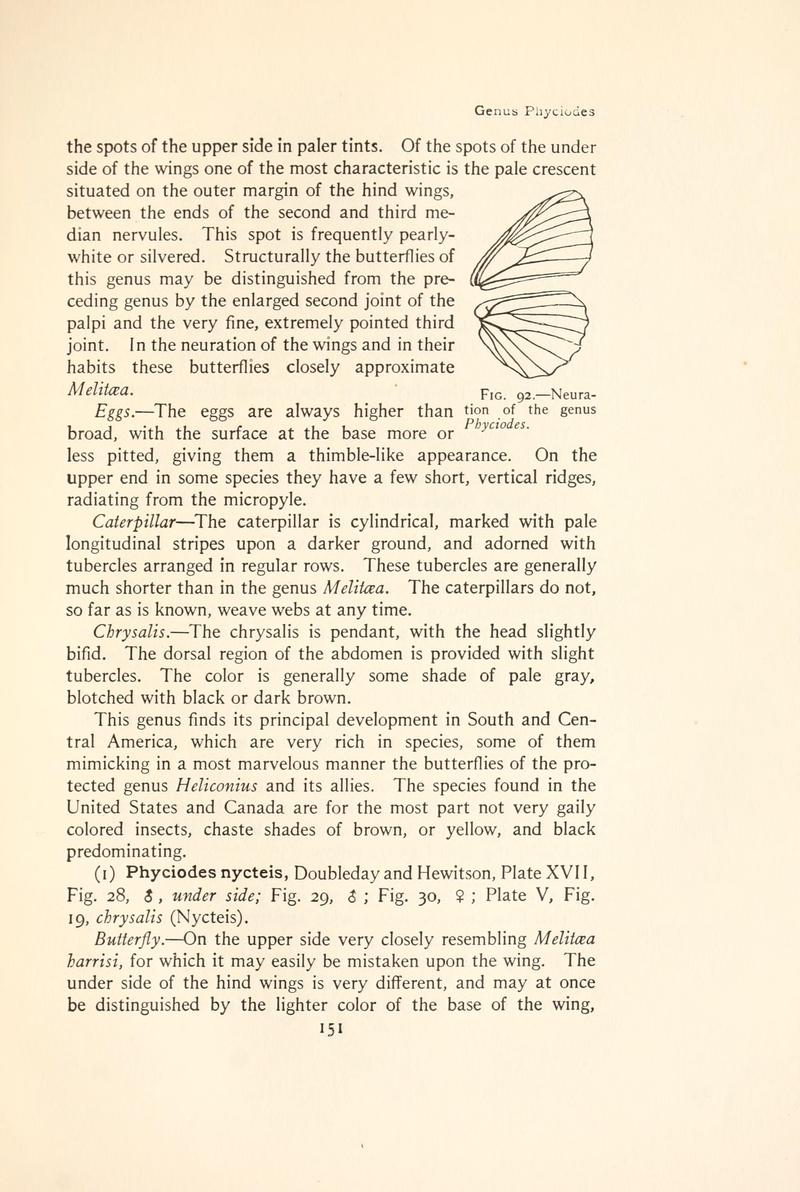 The butterfly book (Page 151, Fig. 92) BHL4428425