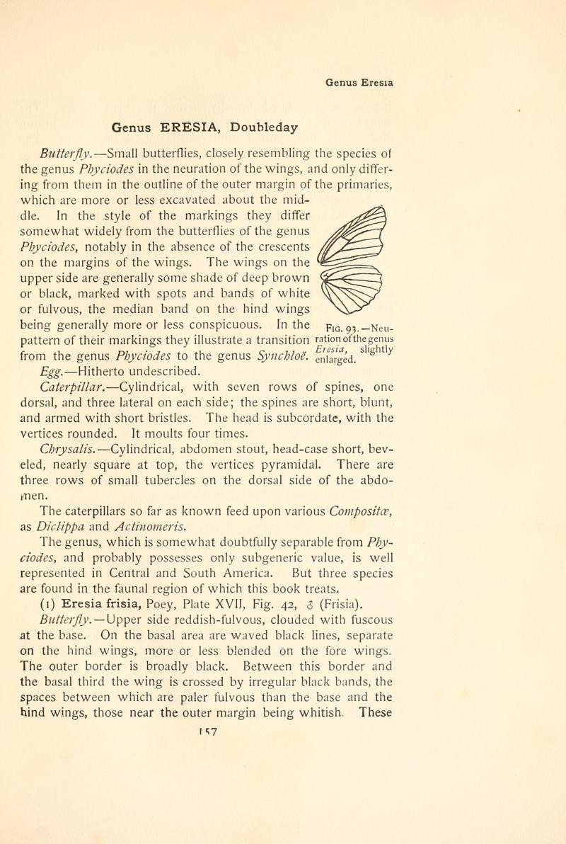 The butterfly book (Page 157, Fig. 93) BHL4428446