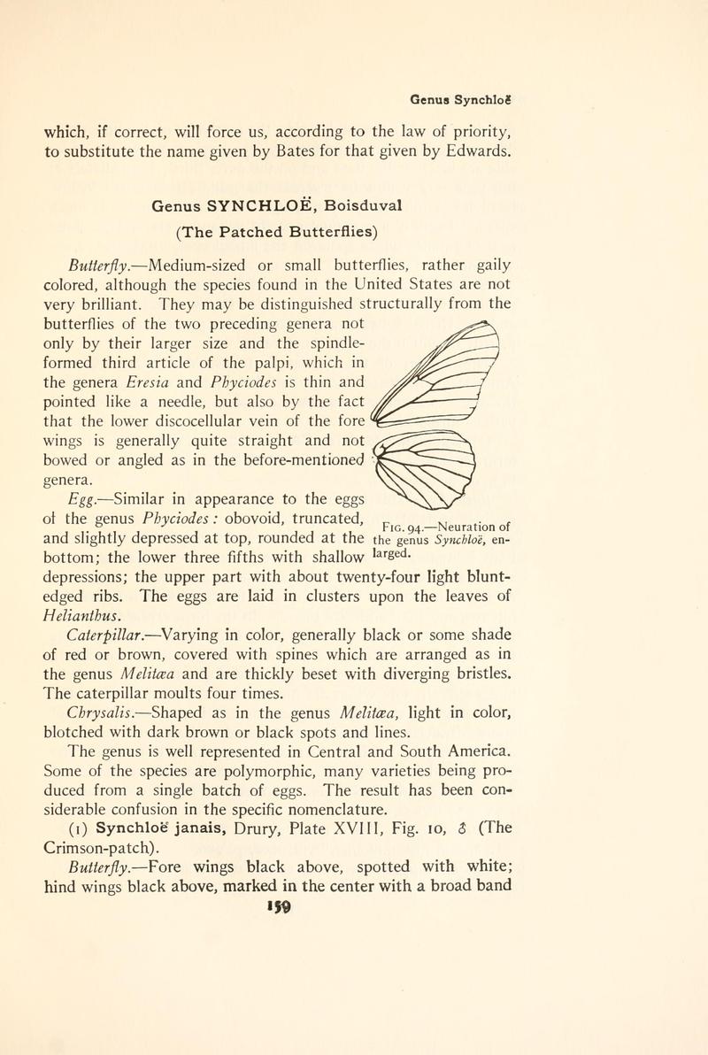 The butterfly book (Page 159, Fig. 94) BHL4428448