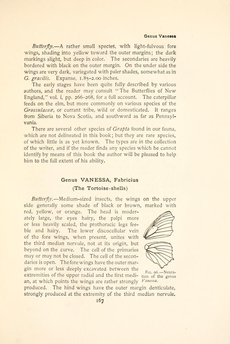 The butterfly book (Page 167, Fig. 96) BHL4428474