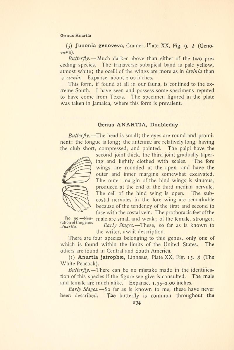 The butterfly book (Page 174, Fig. 99) BHL4428492