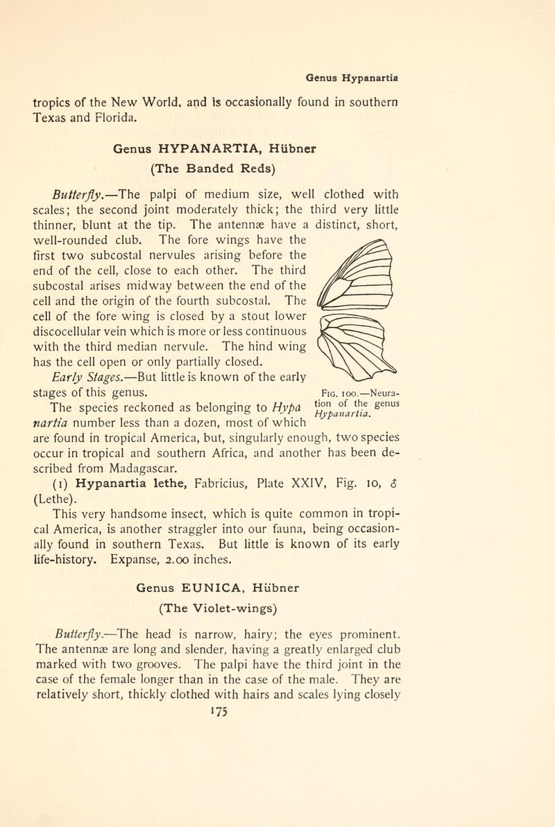 The butterfly book (Page 175, Fig. 100) BHL4428493
