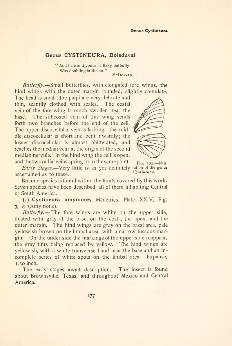The butterfly book (Page 177, Fig. 102) BHL4428495