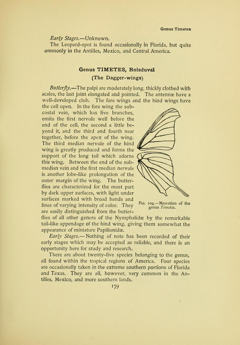 The butterfly book (Page 179) BHL10081239