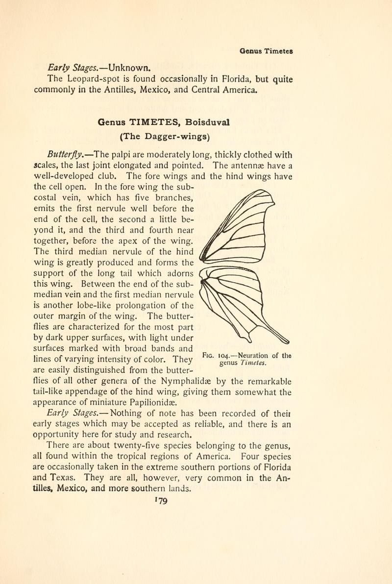 The butterfly book (Page 179, Fig. 104) BHL4428501