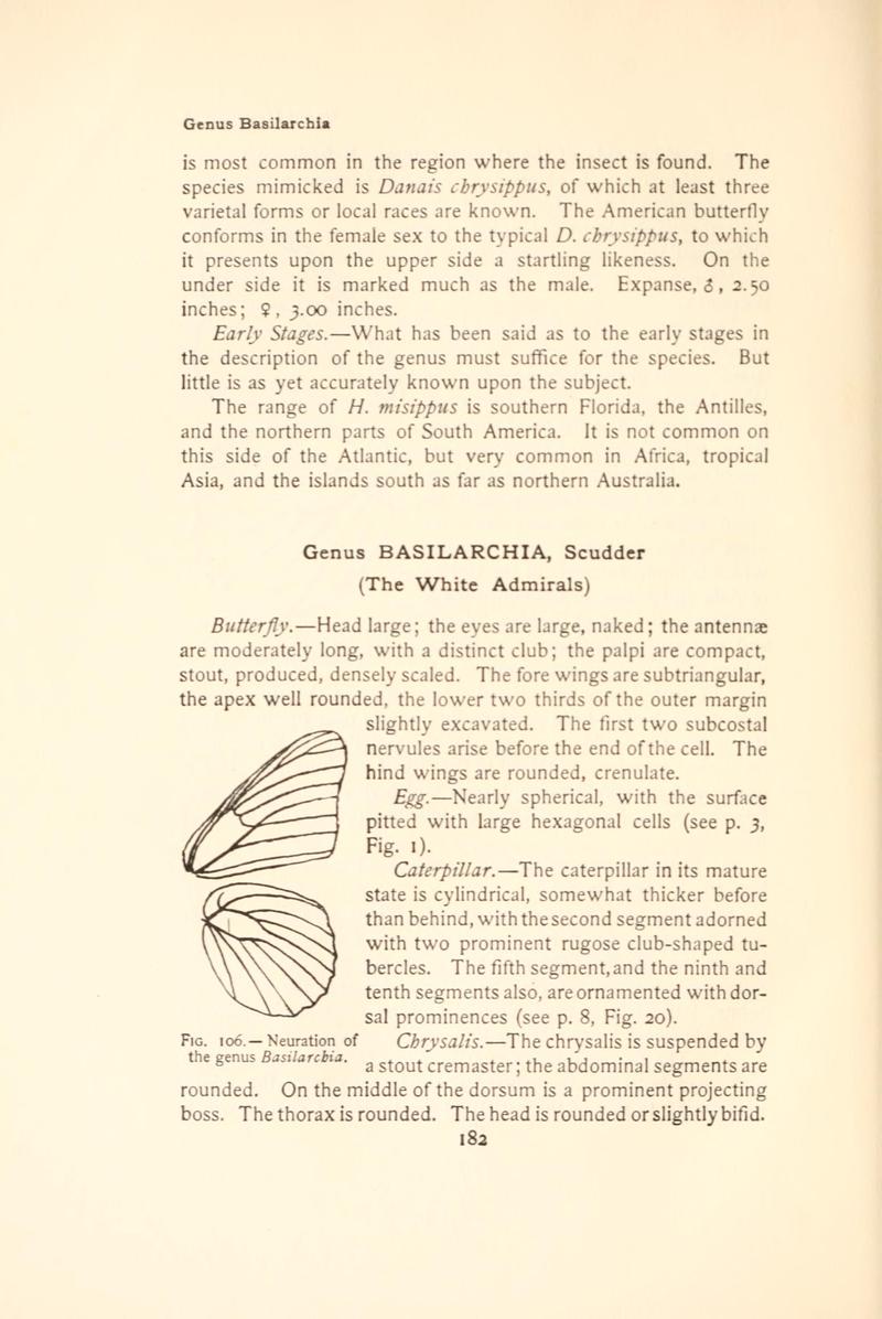 The butterfly book (Page 182, Fig. 106) BHL4428504