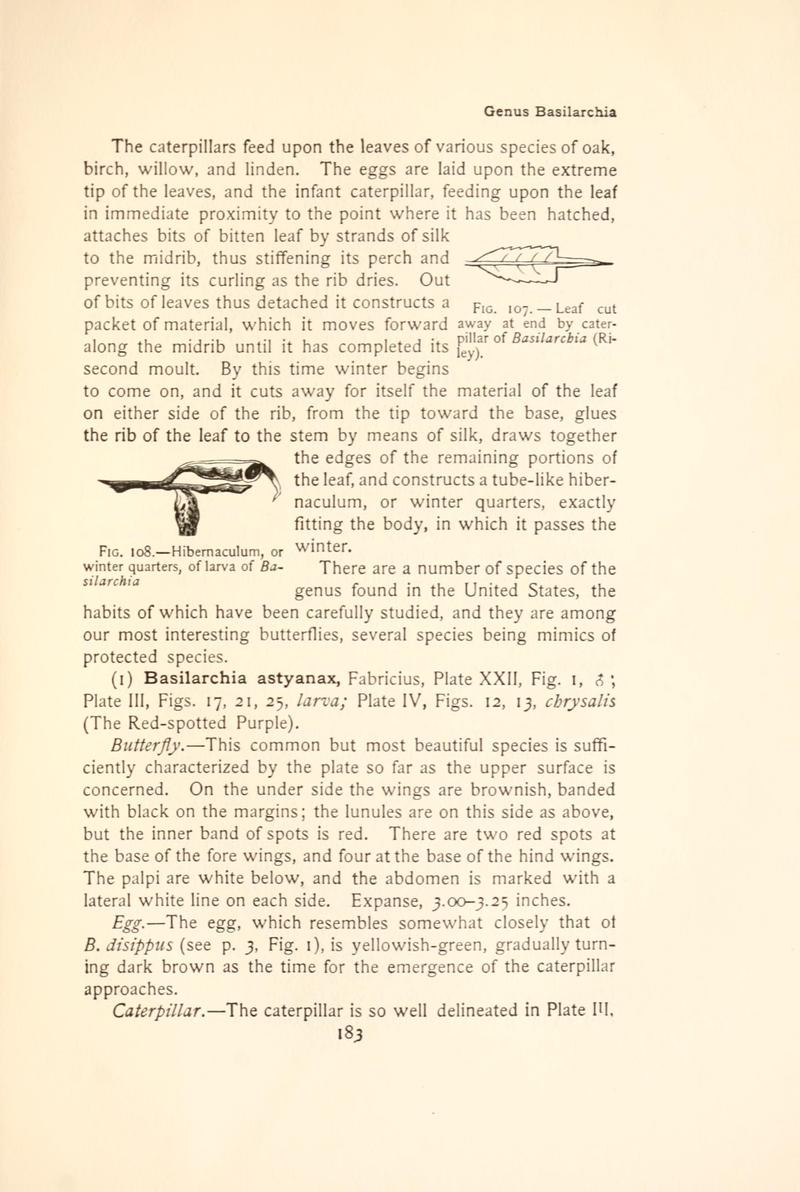 The butterfly book (Page 183, Figs. 107-108) BHL4428505