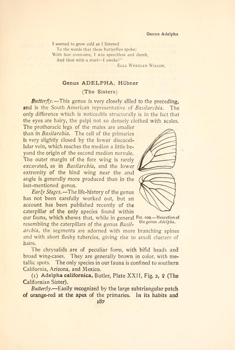 The butterfly book (Page 187, Fig. 109) BHL4428513