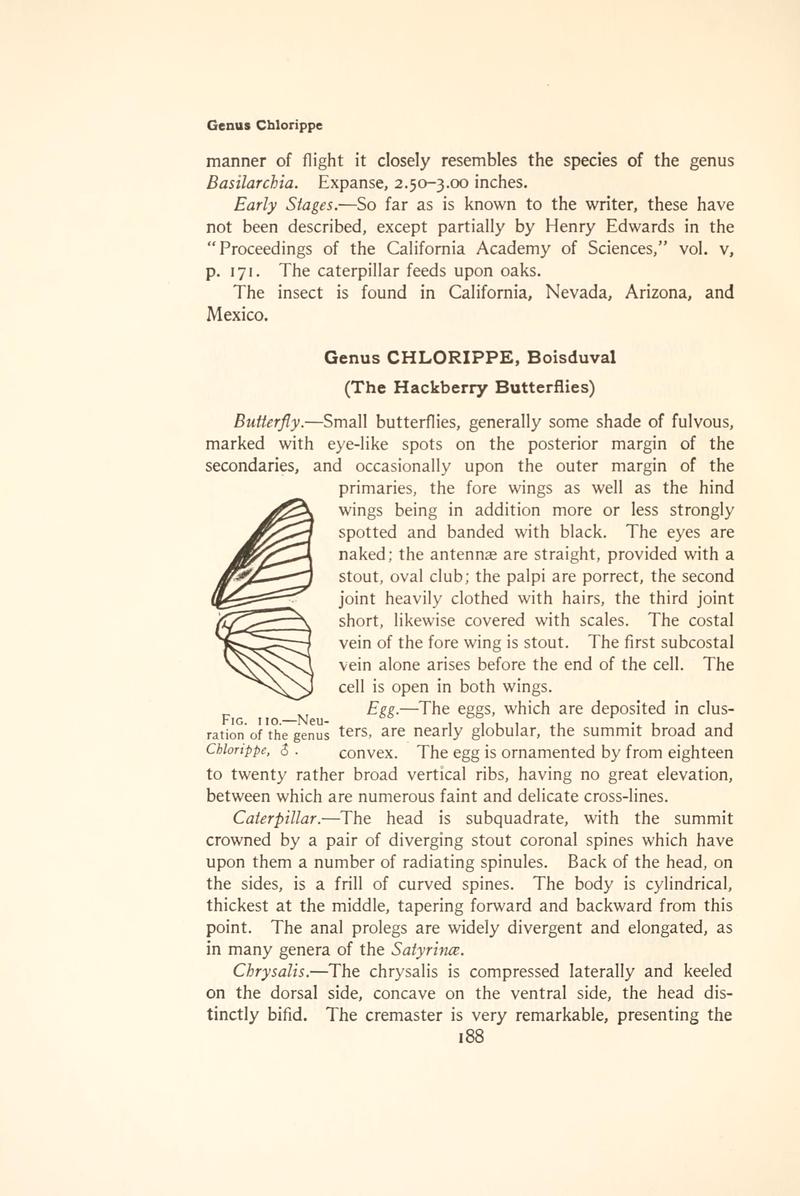 The butterfly book (Page 188, Fig. 110) BHL4428514